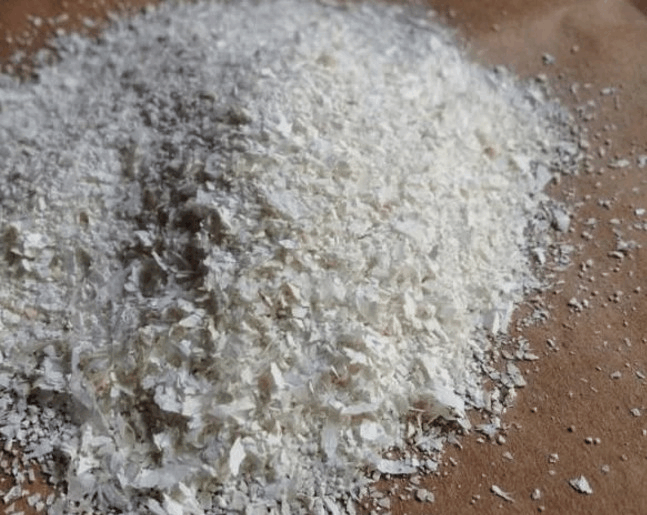 长寿花开花不“长寿”? 给它吃点“鸡蛋壳”, 花苗呼呼长