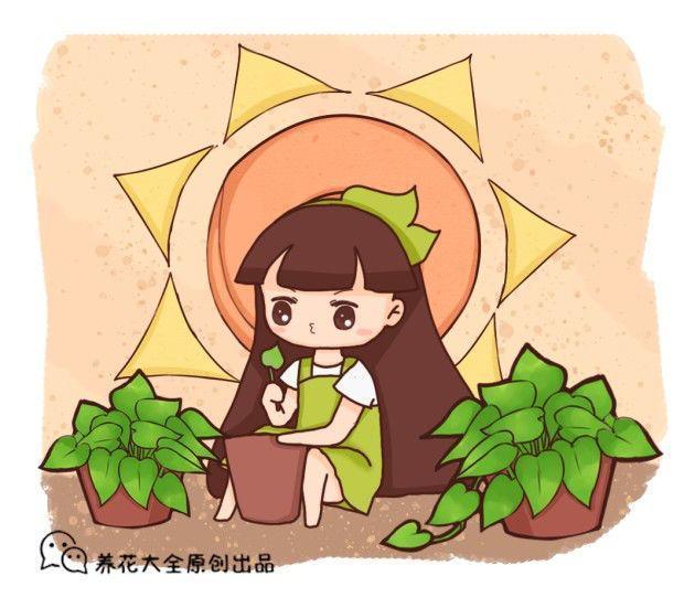 阴雨天快扦插, 简单成活率高, 1分不花养10盆!