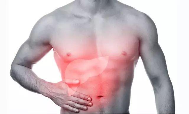 会养生的人经常用蒲公英泡水喝, 对身体有5个好处, 你未必想得到