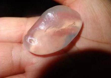 男子海边散步, 捡到“一滴水”, 好奇放嘴里一尝, 结果悲剧了
