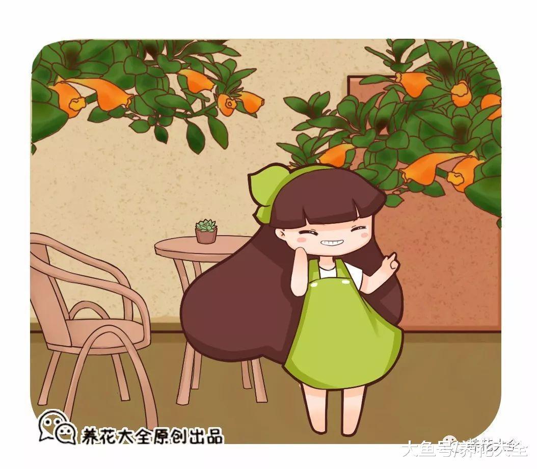 吊兰上长金鱼! 这花太好养活, 2个月长满阳台, 拦都拦不住!