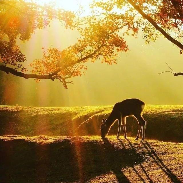 这十句话, 很适合发到朋友圈里!