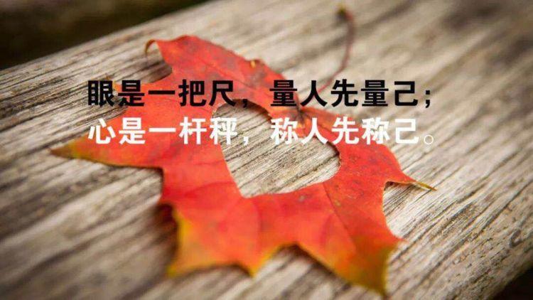 发朋友圈早安的短句子, 句句都是大实话, 激励你不断前行