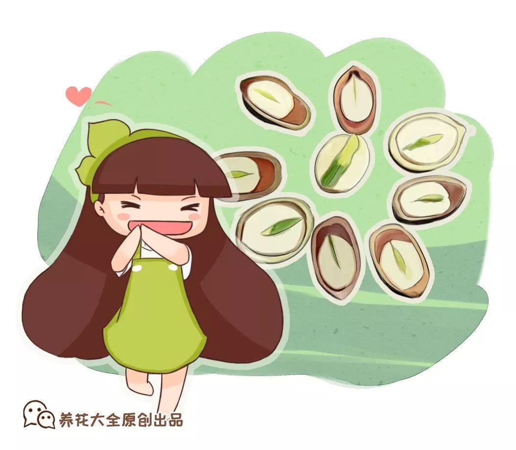 老祖宗留下的养花口诀, 记一招, 安稳过冬没问题!