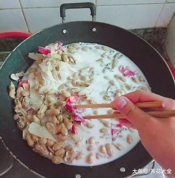 不知道该买什么花肥? 那不如试试自己做, 比买的还好用!