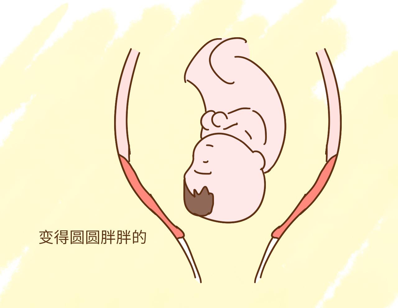 孕晚期, 身体这5个信号告诉你, 胎儿已经入盆啦