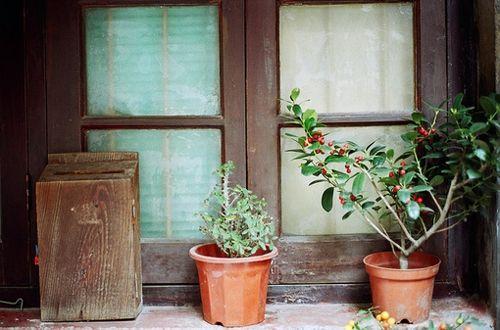 人一旦觉悟, 这十句话就有价值!