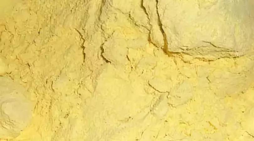 盆里撒把玉米面, 花吃了蹭蹭长, 比10瓶营养液还管用!