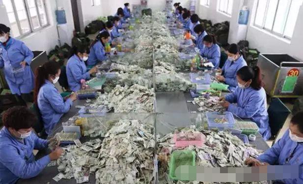 他们每天数钱数到手抽筋, 每个人手上都贴满创可贴, 对钱很厌恶