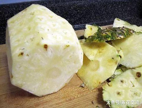 买来的新鲜菠萝叶子切下来养了两年, 终于长出一个小果子