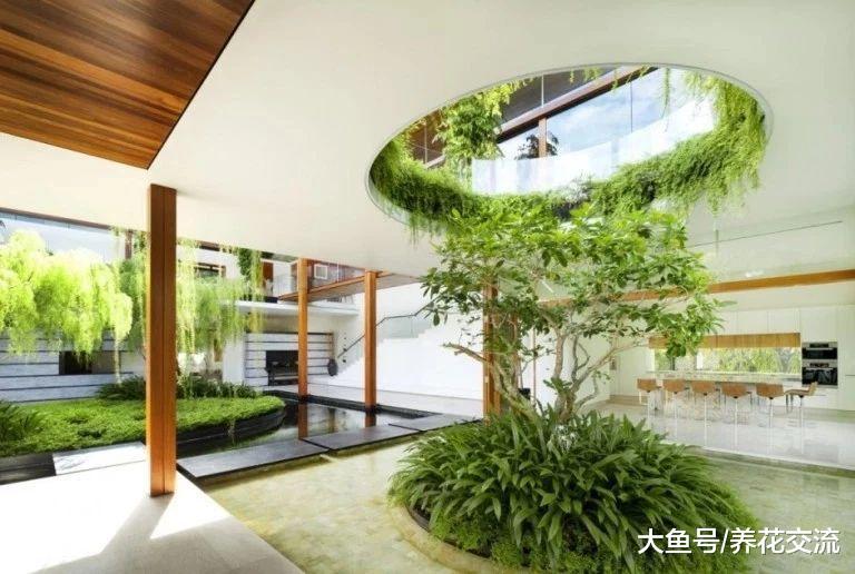 家里常见的这些天然清洁用品对人们无害, 你学到了没?