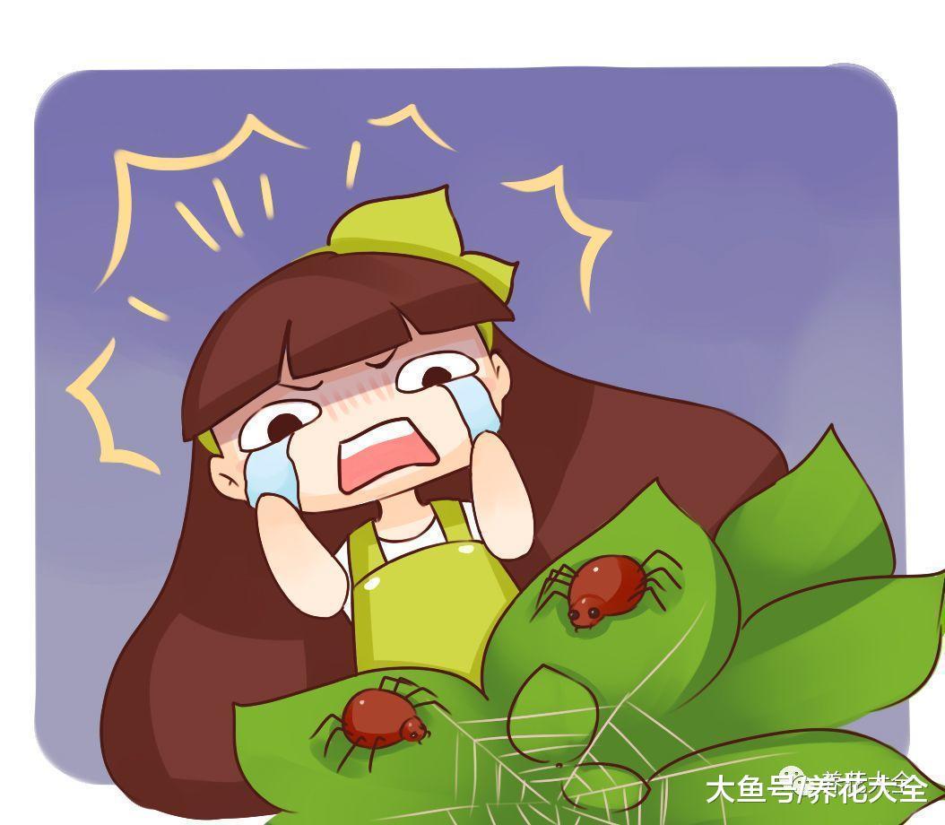 虫子比花长得都快? 那就撒点这个, 比杀虫剂还管用!