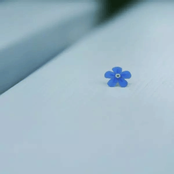 朋友圈里, 睡前才发的晚安句子