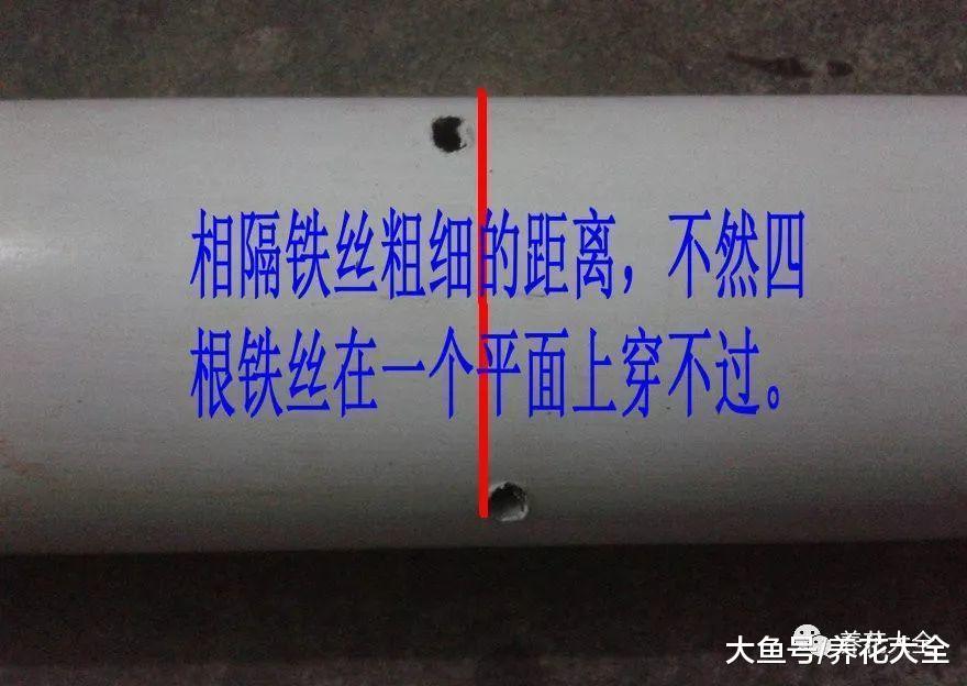 在阳台搭个架子, 好看又实用, 再也不怕没地方养花了!