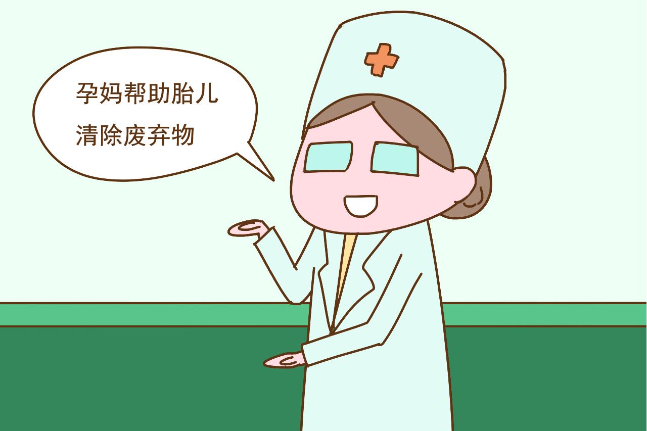 怀孕期间, 胎儿的排泄物都去了哪里? 孕妈后悔在饭前知道了