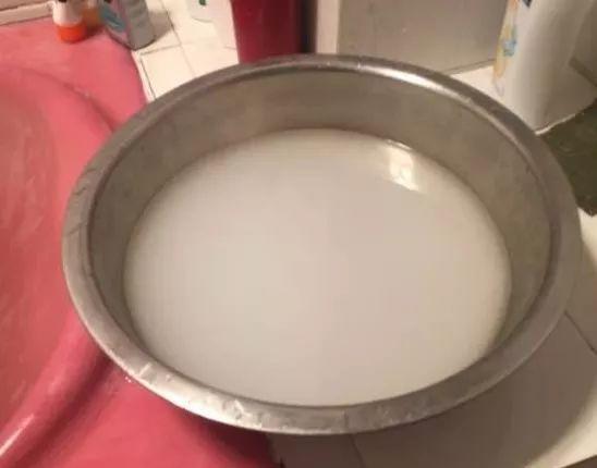淘米水兑点料, 绿萝叶子绿得冒油, 大白根能撑爆盆!