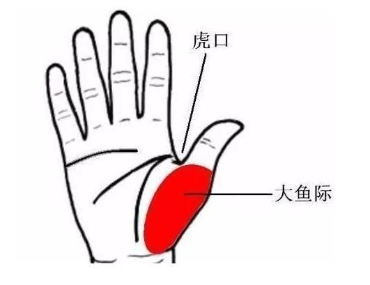 早醒失眠, 吃药治不好? 这个穴位一按就好! 让你每天睡得爽!