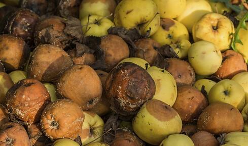 胃痛也可能是肝癌 六招学会预防