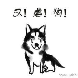 沈月和欧阳娜娜是最尴尬的女主? 那是你们忘了她!