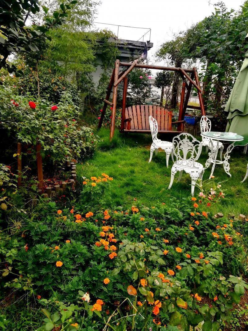 想回到老家的院子, 养花种菜, 享受慢悠悠地生活!