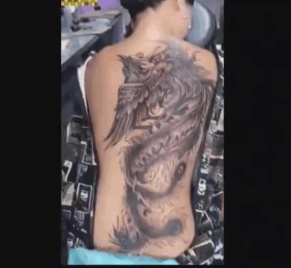 23岁女生失恋后身上纹了一只凤凰, 拉链一开万千网友都脸红了!