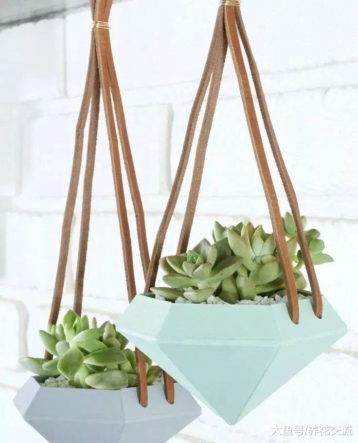 这些DIY的精致吊盆适合养窗台边, 让盆栽更清新动人