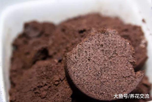用咖啡渣养花的五大好处, 使用方法都是非常简单的