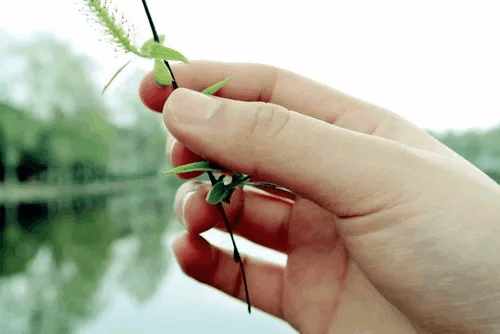 短而好的句子, 微信个性签名