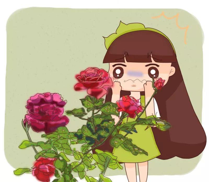 养的薄荷招虫了? 喷点这个水, 叶子油绿呼呼长!