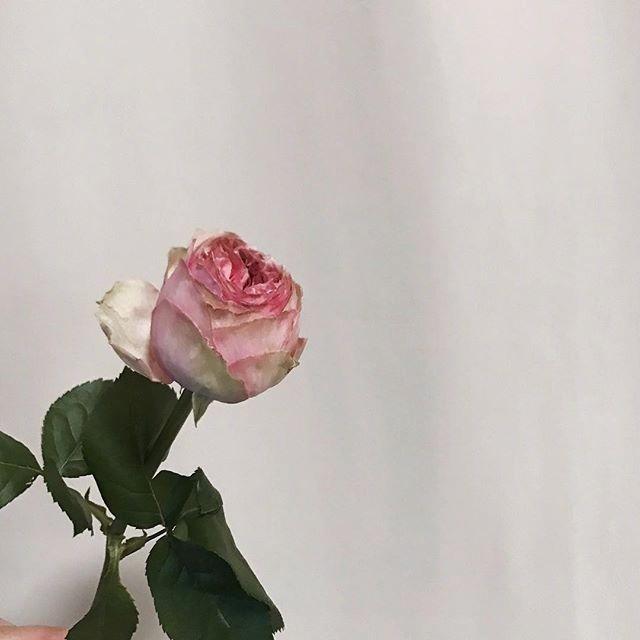 简单却意义深刻的句子, 句句耐人寻味, 简直太经典了!