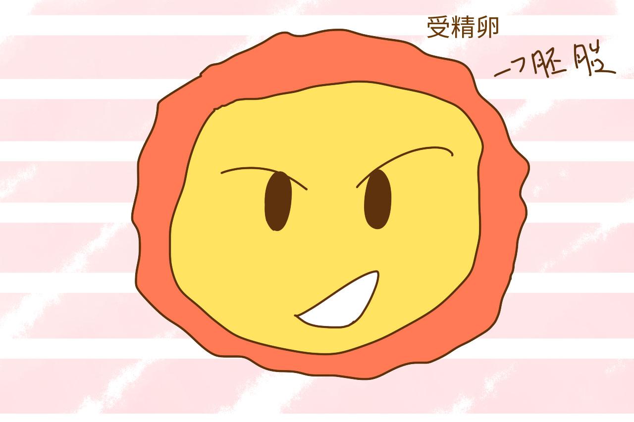 又没有感官, 精子咋定位卵子? 这些受孕的冷知识你需要知道