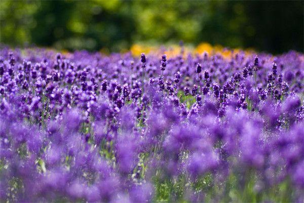 那一刻你就会明白, 遇到了这十句话是对的