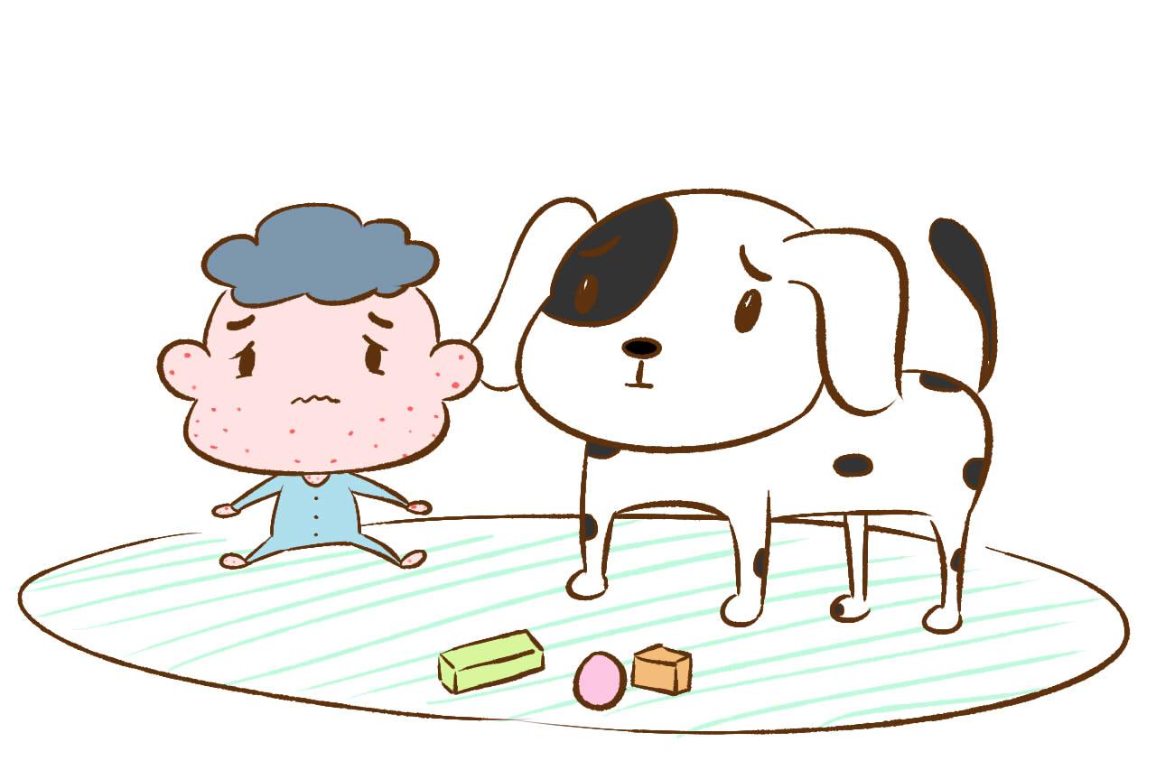 养在家中多年的狗狗不小心伤了宝宝, 这条狗到底该不该扔?