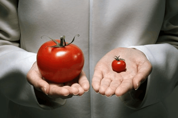 转基因食品对人体有4个危害, 可惜还是很受人们青睐