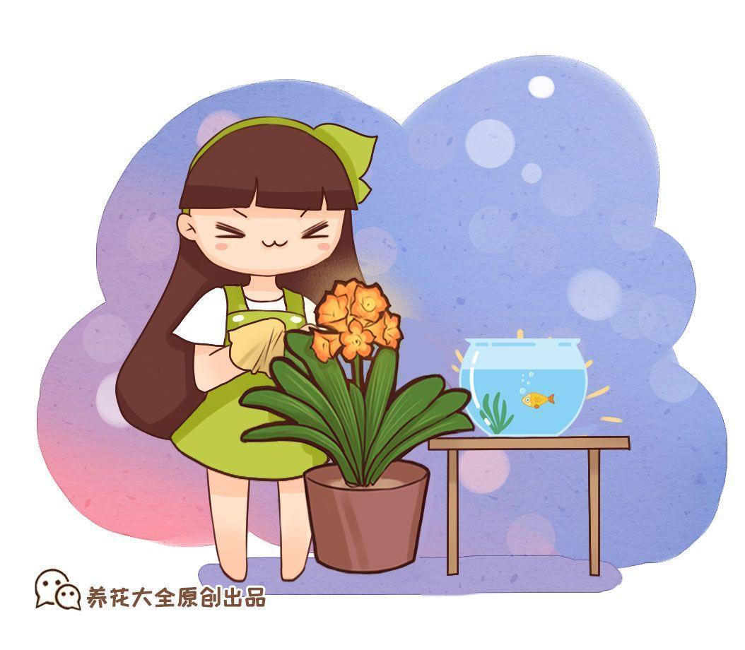 淘米水靠边站, 给花喝口鸡蛋水, 黄叶变绿叶!
