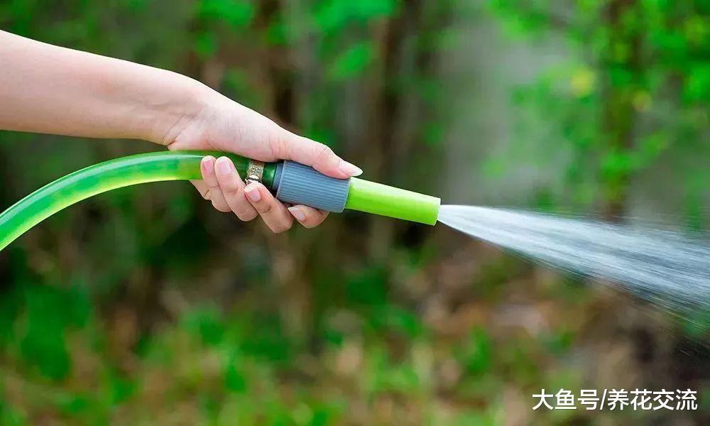 这五种方法能够很好的防治院子里的病虫害