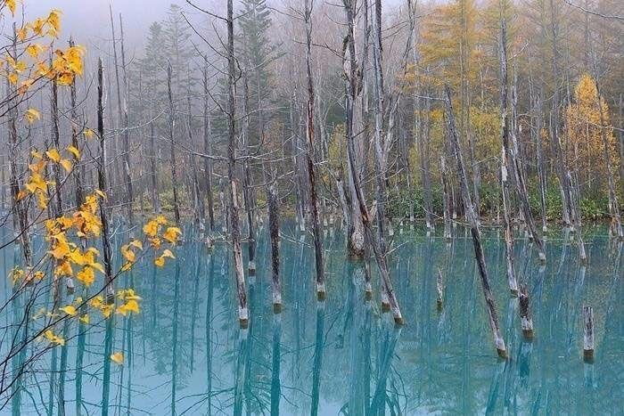 只读不做, 这十句话形同虚设