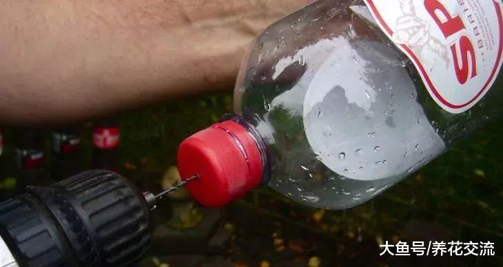 五种制作垂直园艺的小技巧, 废弃的瓶子都能养出一片花园菜园