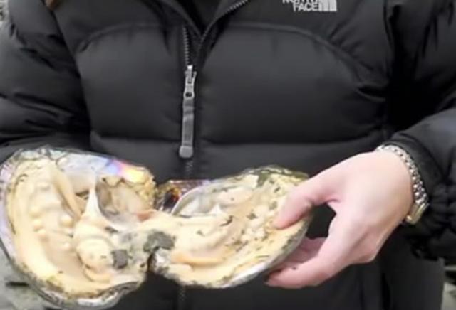 女子海边散步捡到大贝壳, 打开一看, 却是让她喜出望外