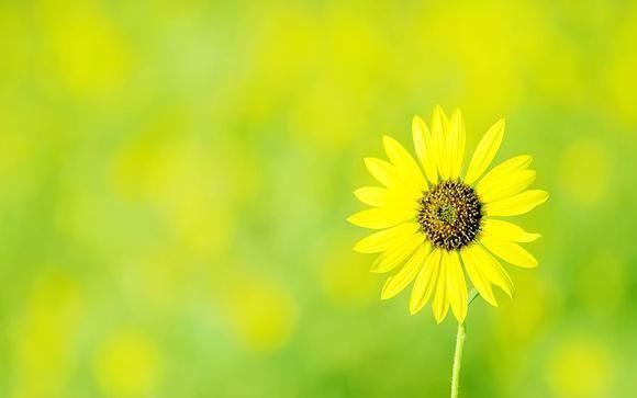 请你多看这十句话, 也许会让你成熟点吧