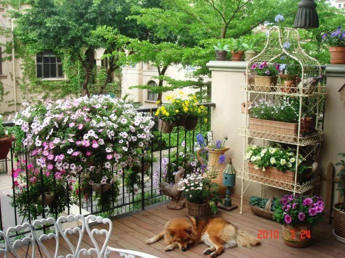 3平米的小阳台, 也能变花园, 别再浪费堆杂物了!