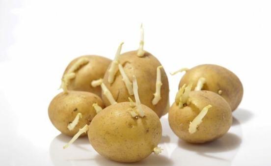 4岁宝宝吃了妈妈炒的菜, 送进抢救室! 医生怒斥: 这点常识都没有