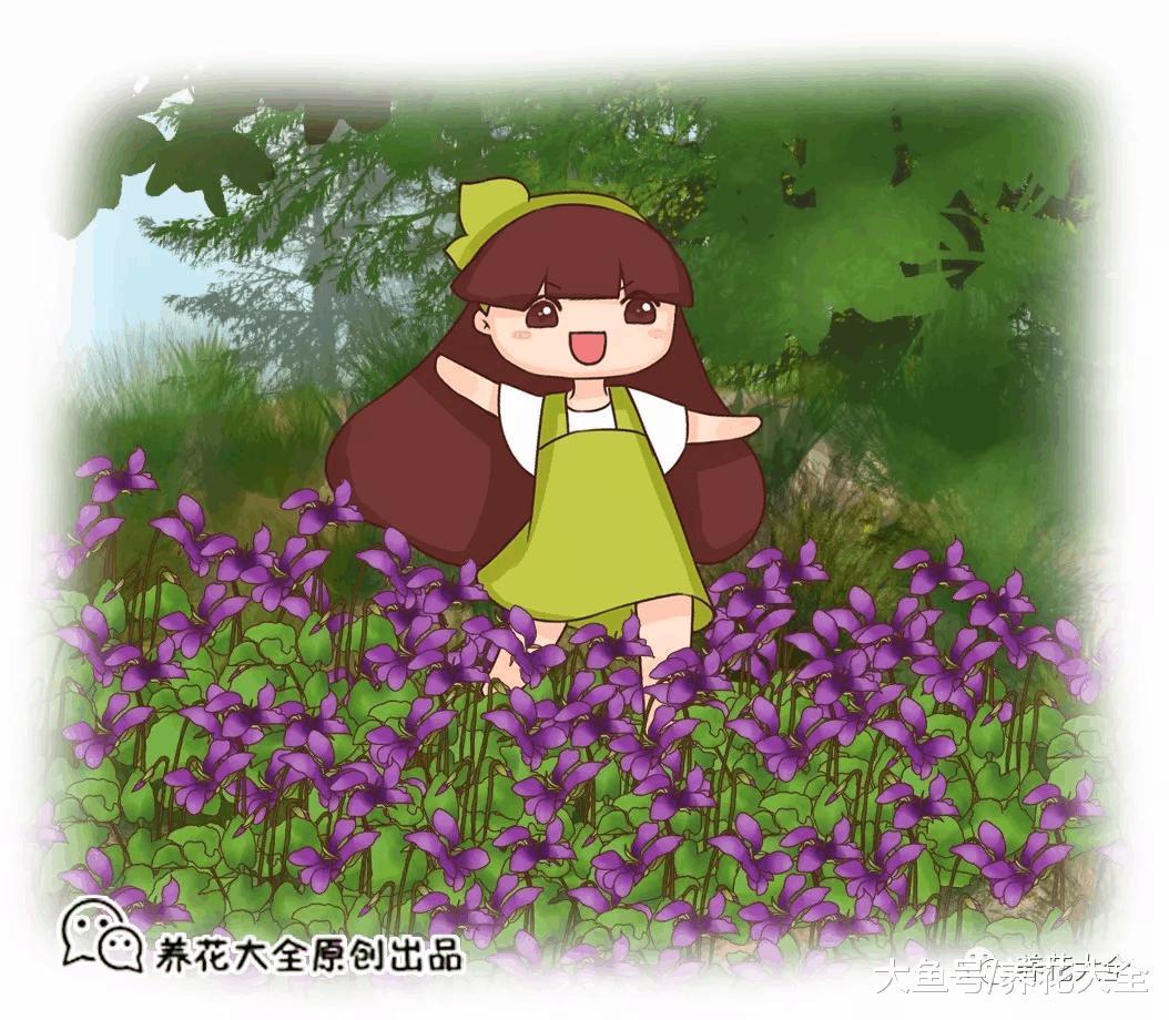 这些野花比栀子月季还好看, 再不采, 就要被别人采光了!