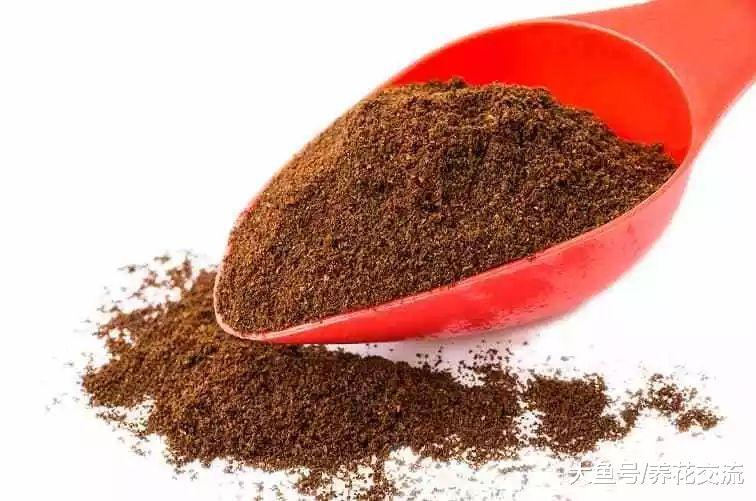 自制肥料的9种常见材料, 用这些技巧就能促进植物生长