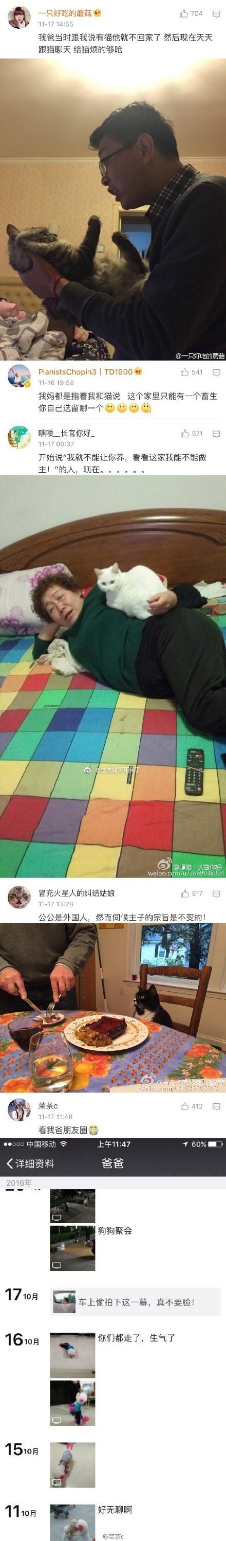 父母一开始不让养宠物, 养了之后爱得不要不要的