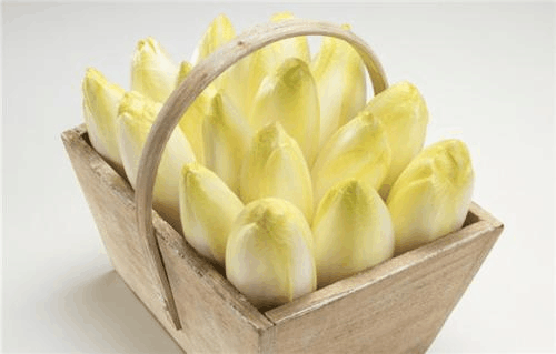 家里盆栽长出“白菜心”, 营养价值高不说, 一斤还能卖“80”元!