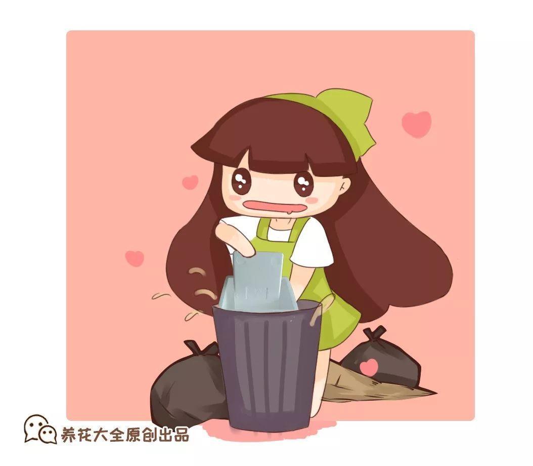 垃圾桶捡点它, 掰碎了垫盆底, 绿萝根系呼呼撑爆盆!