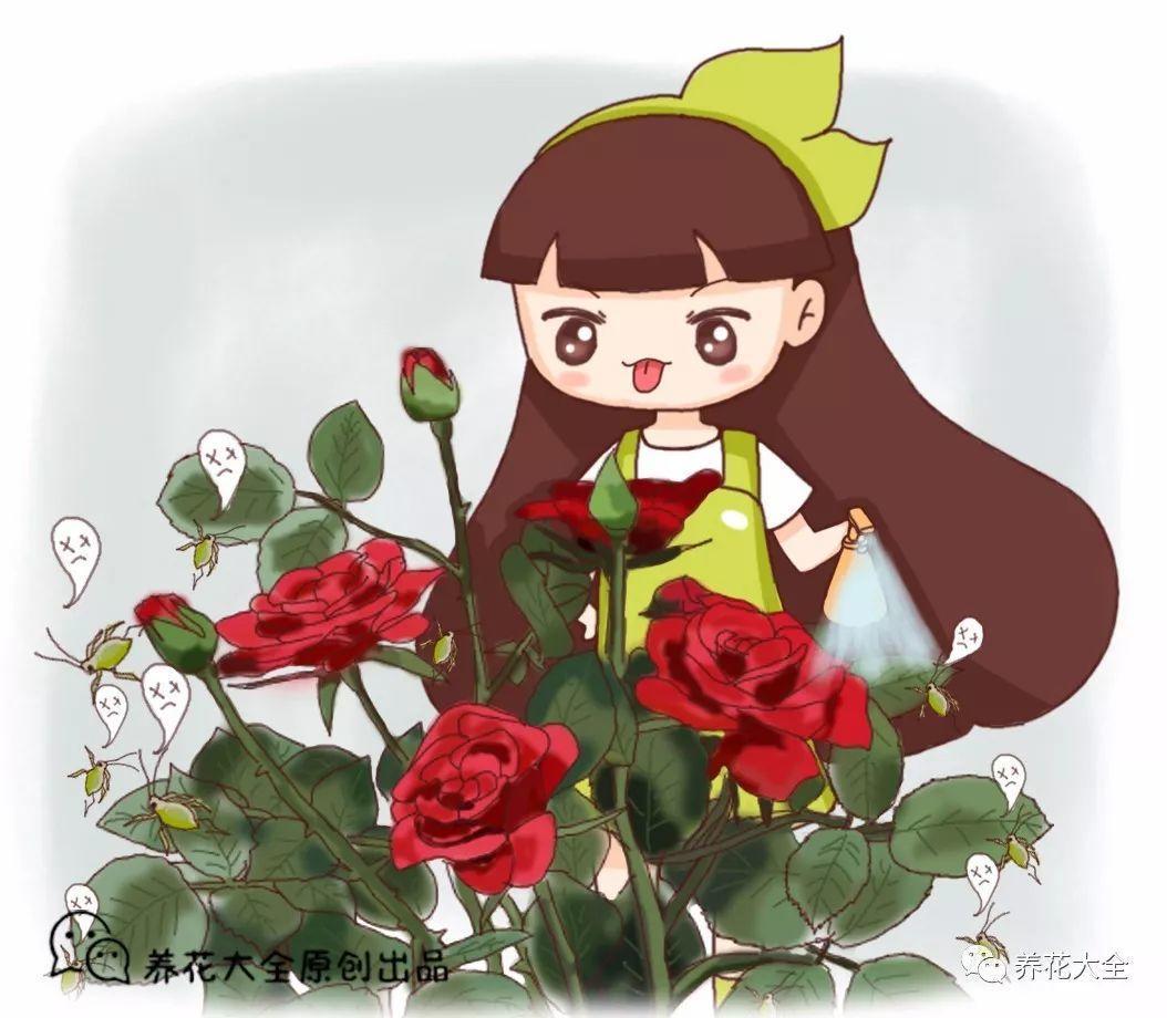 这些全是杀虫剂, 用了3天虫卵死光光, 安全又无味!
