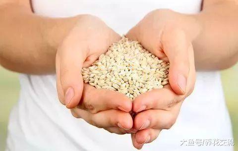 提高种子的发芽率, 你可以用到这6种存储技巧