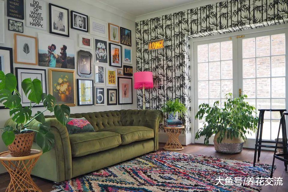 14个布置室内盆栽植物的绝佳创意, 家里养多少盆花卉都不显得乱